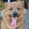 Hazel W Ukraine neu